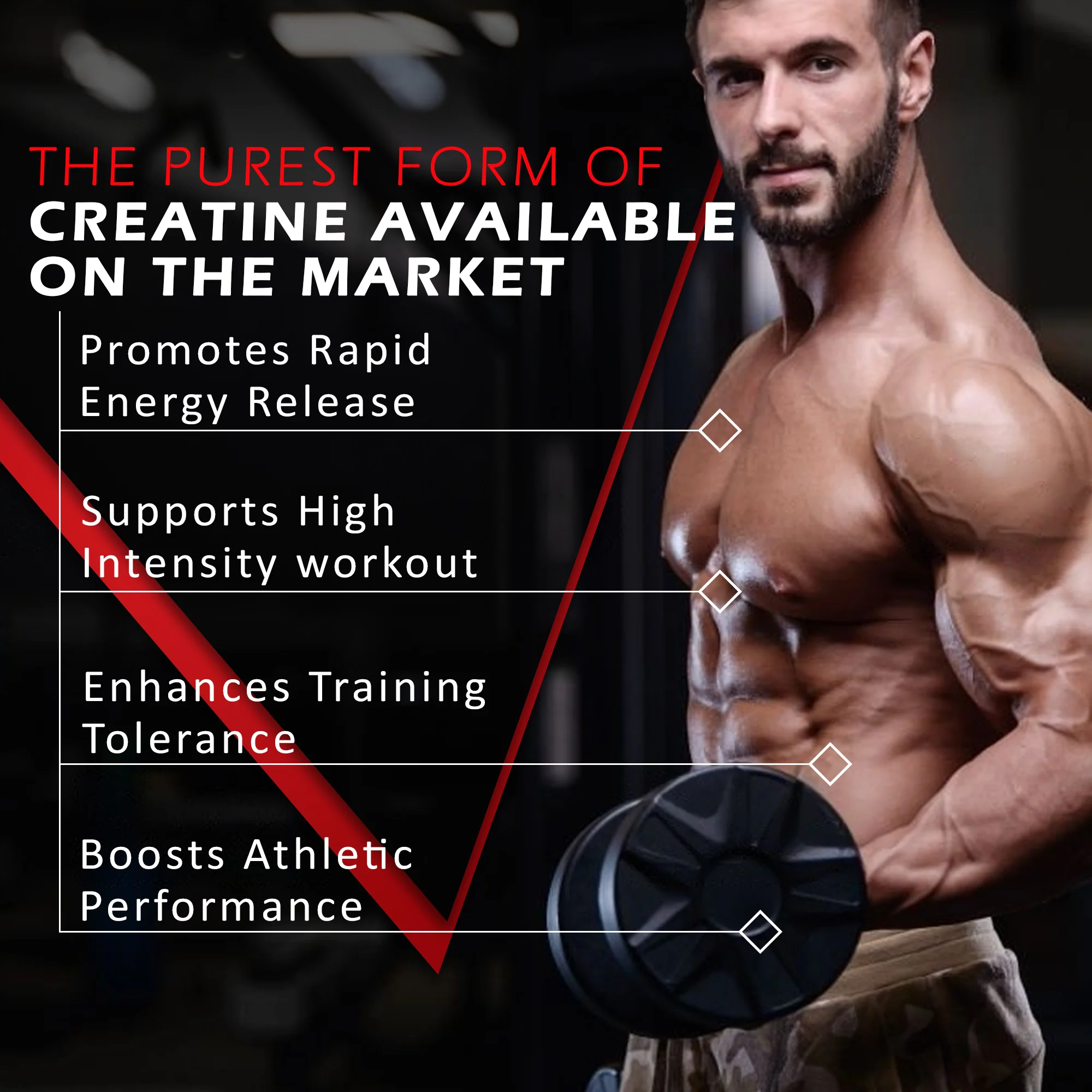 Micronized Creatine Monohydrate - Image 32